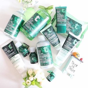 I told you that I really love @thebodyshopindo #TeaTree right? Here are just some of my collection. And they are definitely not my first tube 😚😉. Don't forget to check out my video talking about #TheBodyShop Tea Tree at https://youtu.be/JaMJhgtxBiE *link is on bio*
.
.
#bodyshop #teatree #acneskin #acnesolution #skincare #acneskincare #oilyskin #JeanMilkaFaves #JeanMilkaChannel #youtube #beauty #beautyjunkie #skincarejunkie #clozetteid