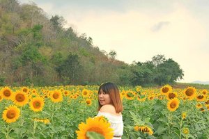 I miss summer, like the sunflower misses the sun 🌻

I can't wait for summer vacation! 🌞

#clozetteid #SunflowerField #ThailandTrip #Lopburi #traveler #solotraveler #igtravel #sunflower