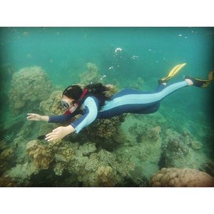 "The seaweed is always greener
In somebody else’s lake
You dream about going up there
But that is a big mistake
Just look at the world around you
Right here on the ocean floor
Such wonderful things surround you
What more is you looking for"

#underthesea #snorkeling #pulaupramuka #coral #fish #ClozetteID