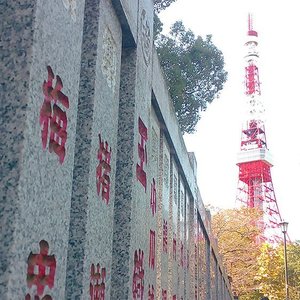 Kalo ke Tokyo wajib jalan-jalan di sekitar Tokyo Tower🗼
Ada Shiba Park, ada Zojoji temple, dll.
Ah~ jadi kangen Japan 🗾 🌸
Photo by @ndazhou 📷 
#tokyotower #throwback #Japan #clozetteid