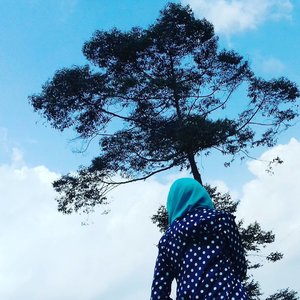Sky, tree and me....."Coming back to where you started is not the same as never leaving."-Terry Pratchett, A Hat Full of Sky-#clozetteid