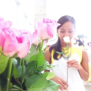 "Tidak akan pernah menyerah untuk menggapai cita-citaku, karena aku yakin bahwa aku bisa menggapainya dan aku yakin tidak akan ada usaha yang sia-sia". :) -, Monday's Quote

#clozetteid #starclozetter #beauty #beautyblogger #beautybloggers #flowers #flower #rose #pinkrose #yellow #dress #quote #quotes #mondayquote #beautypreneur #beautyinfluencer #beautyenthusiast #jakarta #indonesia #blogger #bloggers #bloggerindonesia #fotdibb #fotd #quoteoftheday #beautyaddict #femaledaily