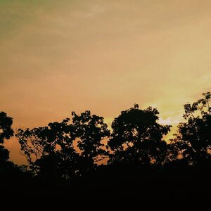 So, today we meet again ya 🍂
.
.
.
.
.
.
.
.

#vsco #vscocam #throwbackthursday #livefolk #bandung #orange #traveling #trip #wanderer #wanderlust #world #trees #earth #sky #indonesia #tbt #sunset #clozetteid #exploreindonesia #photoshoot #picoftheday #city #photooftheday #travel #photography #outdoors #throwback #like4like #likeforlike #nature