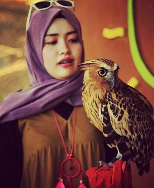 KAMU KOK TEGA SIH NYUEKIN AKU!! .
.
.
.
.
.
.
#vsco #vscocam #throwbackthursday #livefolk #park #instagood #traveling #trip #zoo #animals #world #owl #earth #yolo #indonesia #tbt #blogger #clozetteid #hijab #photoshoot #picoftheday #Malang #photooftheday #ecogreenpark #travel #photography #outdoors #like4like #likeforlike #throwback