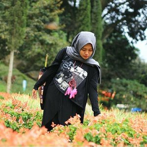 One fine day in Flowerland 🌸🌸 .
.
.
.
.
.

#vsco #vscocam #vscogood #livefolk #exploremalang #trees #flowers #traveling #trip #wanderer #wanderlust #world #instatravel #earth #sunny #clozetteid #green #nature #hypebeast #photoshoot #igers #park #indonesia #photooftheday #likeforlike #travel #photography #outdoors #throwback #like4like