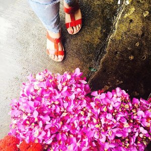 Look at these beautiful orchids! 🌸🌸🌸
.
.
.
.
.
.
#ootd #photooftheday #fashionblogger #igers #instadaily #mumbai #indian #jakarta #love #blogger #clozetteid #midwestbloggers #like4like #instafashion #igfashion #fashiongram #whatiwore  #bloggersuperlooks #flowers #orchids