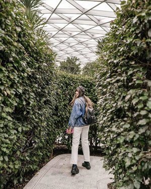 Let’s play hide and seek with me 🌿🍃
.
.
📍 Hedge Maze, Jewel Changi
.
.
.
.
.
#VisitSingapore #PassionMadePossible #Jewelchangi #singapore #yunitapassionmadepossible #travel #clozette #clozetteid