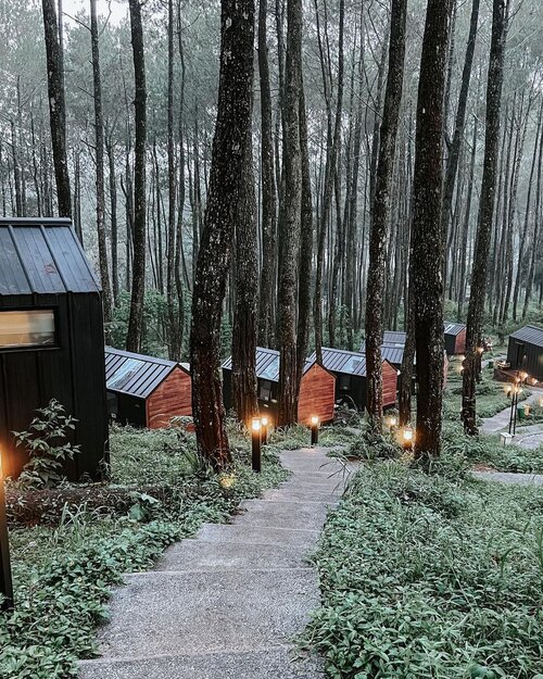 #Repost from Clozetter @2thousandthings.🌲One of my travel wish list : Staying at a cabin in a pine forest ➜ 𝗨𝗡𝗟𝗢𝗖𝗞𝗘𝗗 ✅

Thank you @_krisna_ {♥‿♥} 💚🏕 

#yktripdiary

.

.

.

.

.

#pineforest #bobocabin #getclosewithnature #travelogue #bobocabincikole #darlingescapes #openmyworld #seewhatisee #birthdaygetaway #clozetteid