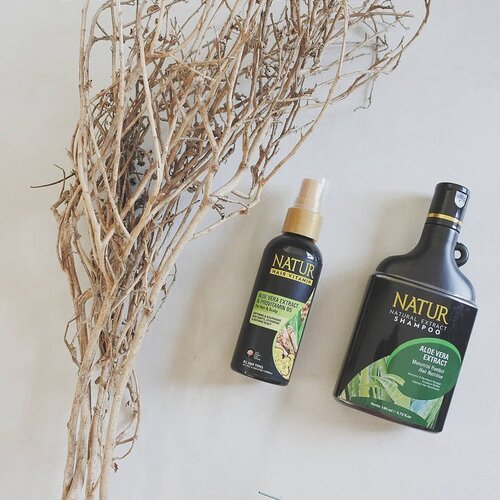 Nggak cuma varian Ginseng aja, ternyata varian shampoo @backtonatur ada banyak banget sekarang. Salah satunya varian Aloe Vera ini yang dapat membantu menutrisi rambut dan membuatnya tumbuh lebih lebat.

Mampir dulu yuk ke www.akpertiwi.com, ada review sampo & hair vitamin Natur yang praktis banget lho!
Kamu udah pernah coba Natur yang varian mana aja nih? Share di kolom komentar ya ❤🍃 #kuatdariakar
#alamilebihbaik
#rambuttumbuhlebat
#rambuttumbuhtebal
#hairbeautydating
#naturxbloggervloggeryeppo
#vsco #clozetteid #bloggerlyfe #beautyblogger #beautybloggerindonesia #naturalhaircare #haircare #lifestyleblogger #beautyenthusiast