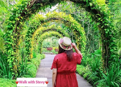 "Walk with me, walk with nature"
.
.
.
📸@lindasonia0208 .
.
#selfie
#stevydiary
#thanksgod
#instagram
#walkwithstevy
#celebratemysize
#plusmodelmag
#lookbookindonesia
#ootd
#ootdindonesia
#ootdasia
#ootdindo
#BalgaMags
#ootdfashion
#styleindo
#ootdbigsizeindo 
#pmmlovemybody
#curvylicious
#goldenconfidence
#canon800d
#fashionsignature
#singaporebotanicgarden
#singaporeguide
#visitsingapore
#clozetteid