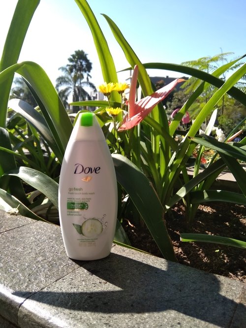 not only a tagline, but this one have a true meaning of freshness!
check my mini review on my Instagram #ClozetteID #Dove_IDN #ClozetteXDove_IDN #DoveGlowFresh #DoveGoFresh