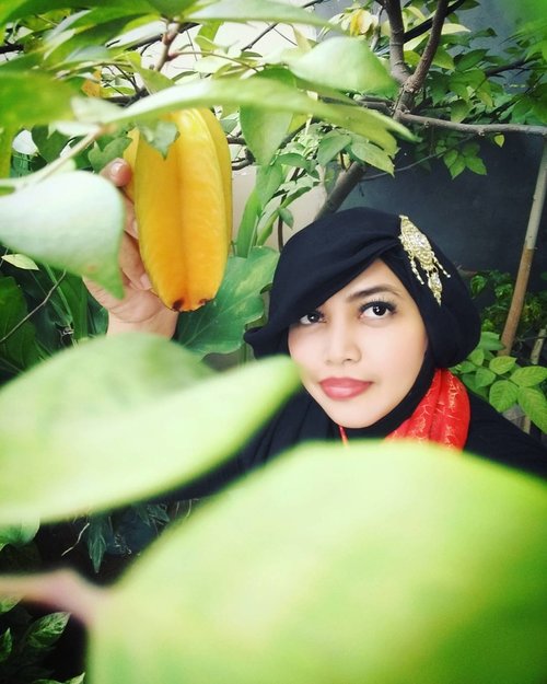 LATEPOST: Sat, February 25th, 2017 ---- 🌱🌲🌳🍒🍋🍊
Begitu tiba di rumah Atungnya Feliza (Papa mertuanya adikku-- Sandhi), langsung diarahin ke pohon #Belimbing di samping rumah mereka. Katanya sengaja gak dipetik, supaya aku bisa metik pas ke #Lampung 😂😂😂 Hihihi... makasi Atung Feli... *salim* 🌱🌲🌳😎🍍🍓🍉 #clozetteID #modestfashion #hijabtraveler #traveling #travelstyle #Hootd #ootd #fashion #style #stylishmodesty #stylecovered #ethnicfashion #home #starfruit