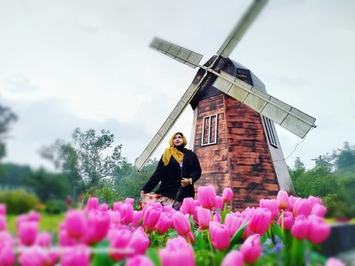 LATEPOST:🌷🇳🇱🧱 #windmill & #tulips haha... #Amsterdam beut... Hujannya baru aja reda, kami berteduh dulu. Jauh2 dari Jakarta ngga boleh gagal jeprat-jepret di... #Belanda ala #Jogjakarta , tepatnya di @merapipark.jogja . Lah wong Jogjanya juga baru pertama x juga kesini hihi... Thank you, Mafel @dewirahmawati29 , Pafel & Feli... Sekarang sudah ga bisa kemana-mana lagi kita (sementara...aamiin), untung stok fotonya udah banyak haha... Late...late... A very latepost semua! 😂🤣-----#rainyseason#nhkkawaii #clozetteid #ModestFashion #modestwear