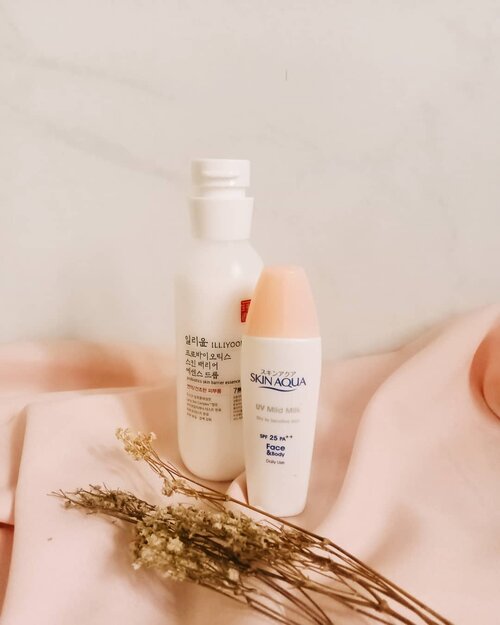 Ketika mood #AMroutine lagi pengen #skipcare biasanya aku pakai 2 item ini aja yang cepet.@illiyoon_official Probiotic Drop Essence emang dibuat sebagai one step skincare dimana uda terkandung hidrasi, kelembaban, dan juga probiotik untuk membantu memperbaiki skin barrier kulit. Reviewnya udah ada di blog aku. Kalo minat coba bisa beli di Charis shop aku. Link on bio.@skinaquaid UV Mild Milk masih aku pake sampe sekarang karena teksturnya ringan banget dan cepet meresap. Trus dia ini chemical sunscreen kan, jadi ga bikin whitecast.Combo duo ini andalan aku banget kalo lagi mager dan pengen #minimalistskincare. Kalo kamu andalannya apa?...#beautyinfluencer #beatthealgorithm #skincarecommunity #igskincare #skincarereview #skinessentials #skincareproducts #kbeauty #koreanbeautyproduct #kbeautyblog #kbeautyblogger #koreanskincare #kbeautycommunity #abcommunity #asianskincare #abskincare #abbeatthealgorithm #discoverunder5k #rasianbeauty #beautyfavorites #skincareblogger #jakartabeautyblogger #clozetteid #idskincarecommunity