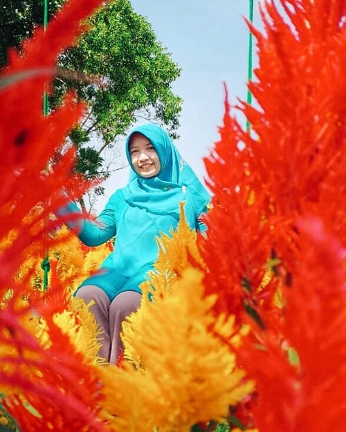 When you feel happy, let it show on your face 🌸
.
.
.
#flower #red #yellow #garden #travel #travelgram #travelblogger #hijabtravel #dailyhijab #picoftheday #photooftheday #jogja #explorebantul #instadaily #instatravel #instastory #likesforlike #clozetteid