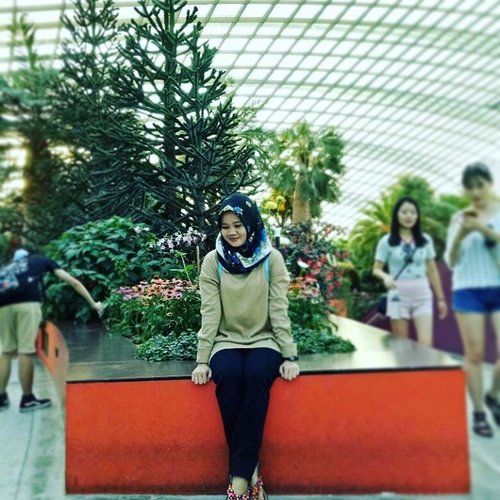 Green so fresh 😍
📷 @denyined86 .
.
.
.
.
.
#latepost #green #gardenbythebay #visitsingapore2016 #indonesian #likeforlike #clozetteid #fresh