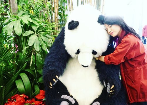 Found this big and cute panda on @thebodyshopindo The Christmast Mall Event at Kota Kasablanka.
.
.
#clozetteid #clozettextbs #junglebells #jingleinthejungle