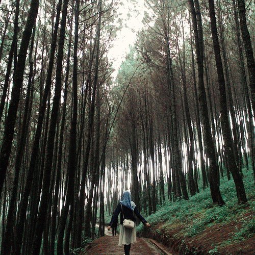 You can also wear your denim to the forest. Mix it with a cute piece of dress, and you'll be a cute fairy in the forest😆🌿🌌 #ClozetteID #cotw #vsco #vscocam #nature #flirtingwithnature