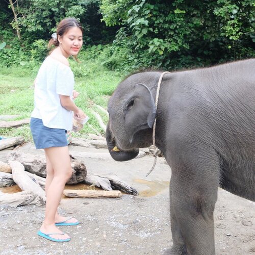 Ekspresi cemas tangan bakal ditelen pas ngasi makan 🐘
.
.
.
.
#nature #naturephotography #naturelovers #vsco  #vscocam #vscofilter #lakeview #wildnature #elephant #forest #exploreindonesia #exploresumatera #exploresumaterautara #exploresumut #tangkahan #indotraveller #folkindonesia #indonesiantraveler #jalanjalanindonesia #travelphotography #travel #travelindonesia #traveller #clozetteid