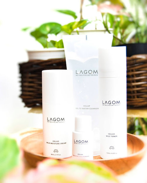 Lassie Newfangled: [Review] Lagom All You Need is A Balance Kit 