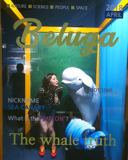 Beluga!!😋 yeay! I love it that much🤗.....#beluga #fish #aquarium #vielholiday #clozetteid #exploreseoul #seoul #한국