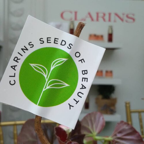 About @clarinsclub.id event!
Let's join Clarins Seeds of  Beauty for beautiful world.

How to join? Buy 1 Clarins Double serum = Plant a tree in Indonesia 🌿🌿 #treeforindonesia #clarinsclub #clarinsindonesia #tapforlike #instatoday #instadaily #clozetteid #LoopSquad2018 #beauty #plant