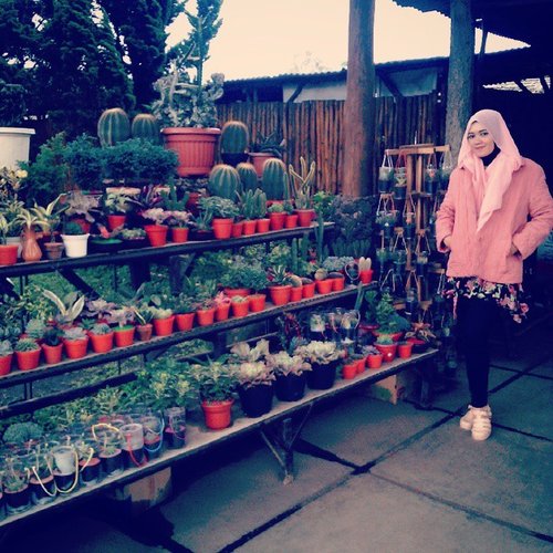 🌵 🌵🌵 📷 #Bandung #lembang #deranch #ilovebandung #view #plants #photo #latepost #style #hijabstyle #throwback #hijabi #clozetteid