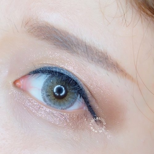 Eye makeup menggunakan eyeshadow dari Brown Holic by Ssin, look at the sparkles!