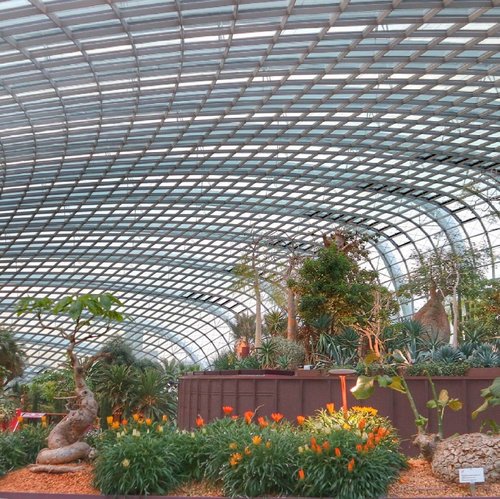 The Flower Dome 💕
.
.
.
.
.
.
.
#clozette #view #singaporetrip
#clozetteid #sg #singapore #flowerdome #gardenatthebay #marinabaysands #flowerdomesingapore #plans #asthetic #travel #adventure #visitsingapore