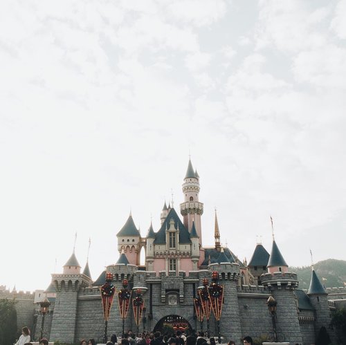 "All our dreams can come true, if we have the courage to pursue them" - Walt Disney
