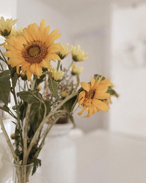 Good morning ☀️🌻-Last night I decided to take a pause, sleep earlier, write journal (again) and sipping tea while read a book. I get a better sleep indeed, eventho not having a deep sleep like usual (check my sleep well story if you must lol). And now I feel a bit refresh. At least.How are you today? -#ClozetteID