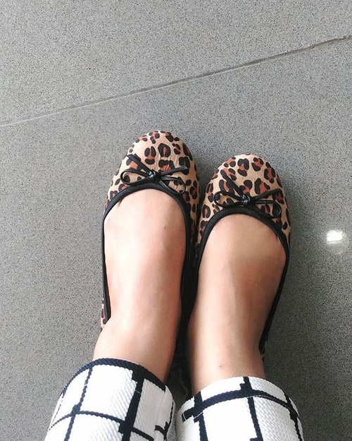 My flat shoes #Cleopard from @butterflytwists_indonesia.. Thank you for the gift 💋, bdw flat shoes ini nyamaaannn bgt, gak sakit sama sekali, dibawa jalan jalan gak sakit.  Dan yang paling penting,  aku jadi semangat jalan,  karena bahannya sesuai dgn ukuran kaki dan empuk.. 👍💐😘. One again thank you @clozetteid and @butterflytwists_indonesia 💋

#ClozetteID #butterflytwists #cleopard #Gift #happysaturday