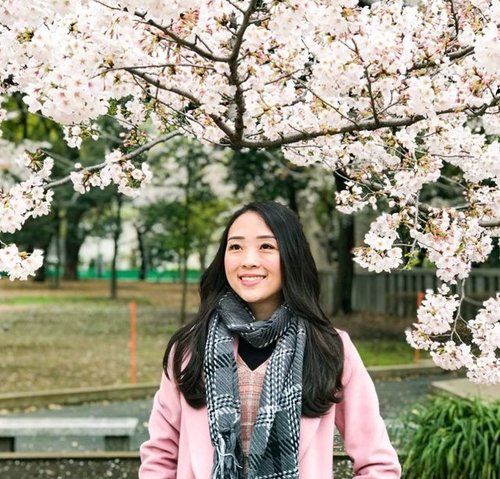 Tak Hanya Indah, Kenali Ragam Manfaat  Bunga Sakura Untuk Kecantikan 