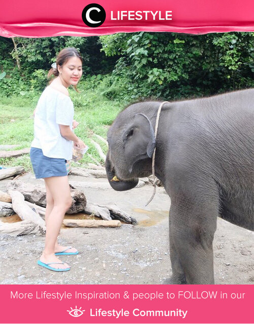 Suka berinteraksi dengan hewan besar dan memiliki belalai? Kamu wajib berkunjung ke  Elephant Response Unit (ERU) dan Pusat Latih Gajah (PLG) di Taman Nasional Way Kambas, Lampung. Kamu bisa ikut memberi makan dan memandikan gajah, tentunya harus di bawah pengawasan petugas di sana. Simak Lifestyle Updates ala clozetters lainnya hari ini di Lifestyle Section. Image shared by Clozetter @abigailfrida. Yuk, share momen favorit kamu bersama Clozette.