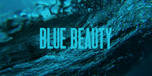 Wait, What Even Is “Blue Beauty”?