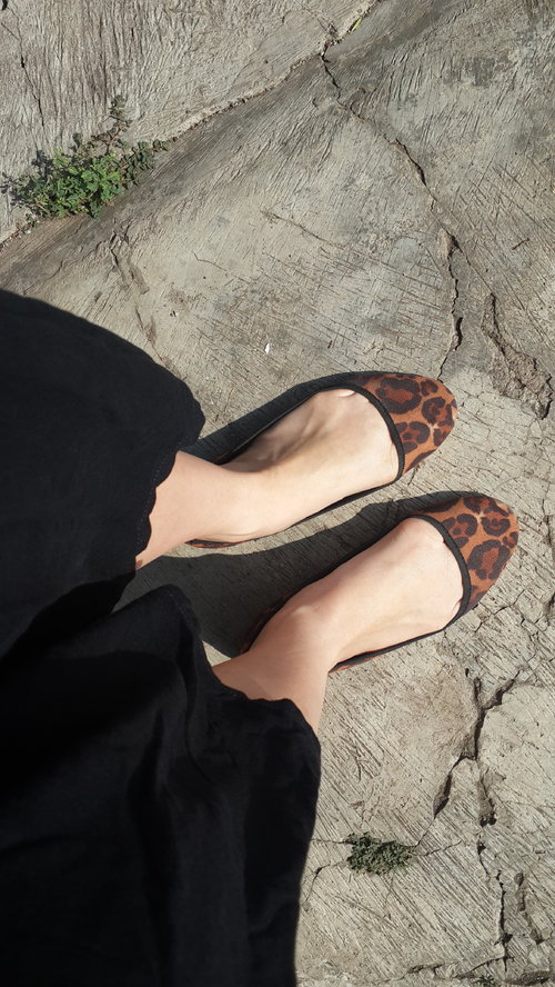  leopard shoes for today