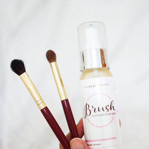 3 Jenis Natural Brush Cleanser Yang Wajib Kamu Coba 