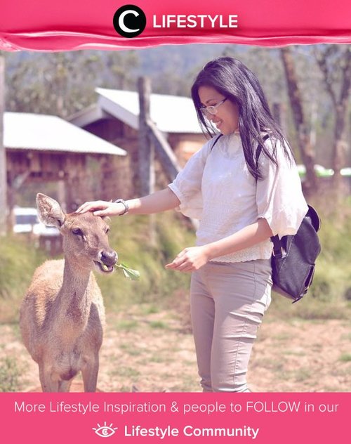 Do you know that petting animal can actually helps us to feel at ease and relieve stress? Simak Lifestyle Updates ala clozetters lainnya hari ini di Lifestyle Section. Image shared by Star Clozetter @NoniQ. Yuk, share momen favorit kamu bersama Clozette.