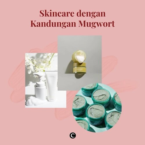 Coba tebak, salah satu kandungan skincare yang diprediksi akan naik daun di tahun 2021 ini? Yup! Benar banget, jawabannya adalah mugwort!.Tanaman dengan nama latin Artemisia vulgaris ini dikenal dengan kandungan antioksidan dan anti-inflamasi yang melimpah. Maka nggak heran, skincare dengan kandungan mugwort ini menjadi andalan untuk kulit berjerawat, kemerahan, bahkan kulit sensitif!.Ingin mencoba skincare dengan kandungan mugwort? Clozette Crew sudah merangkum beberapa produknya untukmu! Mulai dari skincare Korea, Jepang, sampai skincare lokal dengan mugwort sebagai kandungan utamanya, bisa kamu temukan melalui video berikut ini✨🌿.📷 @whitelab_id @kose_ind @imfrom_id @missha.id @axisy.indonesia #ClozetteID #ClozetteIDVideo #ClozetteIDCoolJapan #ClozetteXCoolJapan #mugwort #skincaremugwort