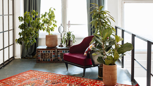 These Faux Plants Will Fool Your Green-Thumbed Friends