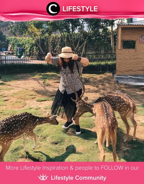Clozetter @reginapitupulu menghabiskan waktu di Jatim Park dengan memberi makan rusa. Simak Lifestyle Updates ala clozetters lainnya hari ini di Lifestyle Community. Yuk, share juga momen favoritmu. 
