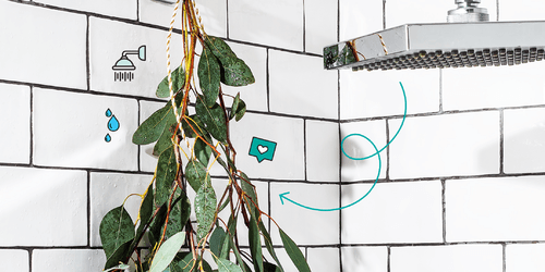 FYI: Hanging Eucalyptus in Your Shower Is Actually Good for You 