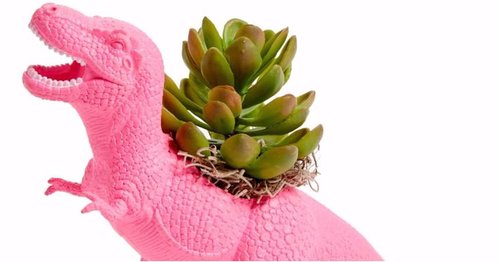 11 Little Planters That Will Make Your Desk Look Cute and Cheerful
