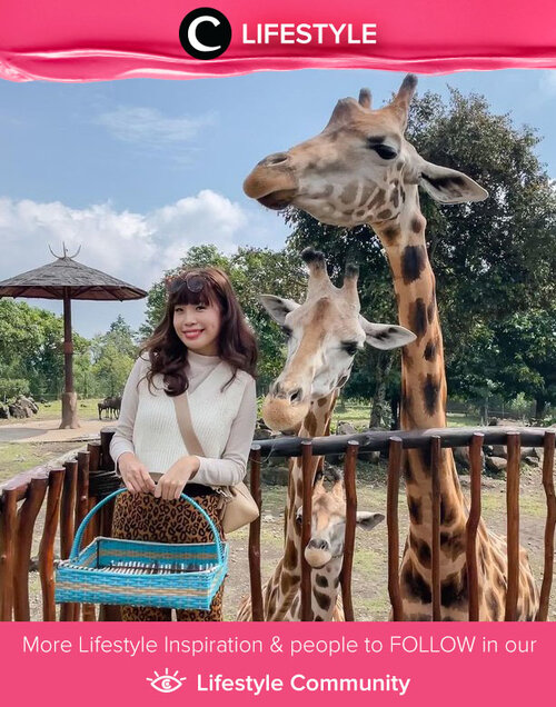 Clozette Ambassador @steviiewong said hi from Taman Safari Prigen. Look at those adorable giraffes, also saying hi to you! Simak Lifestyle Update ala clozetters lainnya hari ini di Lifestyle Community. Yuk, share momen favoritmu bersama Clozette.