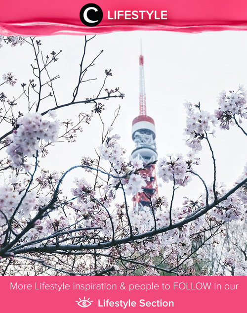 That one not-so-perfect sakura x Tokyo Tower shot. Simak Lifestyle Updates ala clozetters lainnya hari ini di Lifestyle Section. Image shared by Star Clozetter: @japobs. Yuk, share momen favoritmu bersama Clozette.