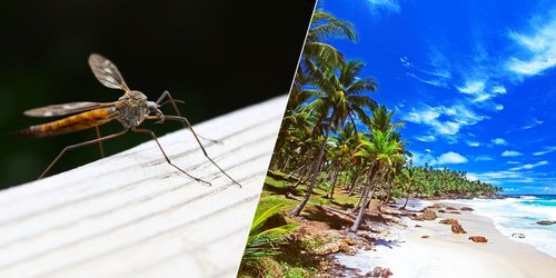 The CDC's New Zika Travel Guideline Is a Major Game-Changer