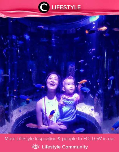 Ajak si Kecil belajar tentang biota laut dengan megunjungi salah satu aquarium di Jakarta. Image shared by Clozetter @meltandun. Simak Lifestyle Updates ala clozetters lainnya hari ini di Lifestyle Community. Yuk, share juga momen favoritmu. 