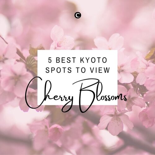 🌸🌸🌸 SPRING HAS SPRUNG 🌸🌸🌸Di Kyoto, cherry blossoms atau bunga sakura mekar pada akhir bulan Maret sampai minggu kedua bulan April. Pada saat itu, biasanya banyak orang yang melakukan hanami, yaitu tradisi Jepang menikmati keindahan bunga sakura. Hanami dilakukan sambil piknik dengan menggelar tikar dan makan-makan di bawah pohon sakura bersama orang-orang terdekat.Kalau nanti pandemi sudah berakhir dan kamu berkesempatan melakukan hanami di Kyoto, jangan lupa untuk mengunjungi 5 best spot untuk menikmati keindahan bunga sakura berikut ini ya, Clozetters!✨#ClozetteID #ClozetteIDVideo #ClozetteXCoolJapan #ClozetteIDCoolJapan