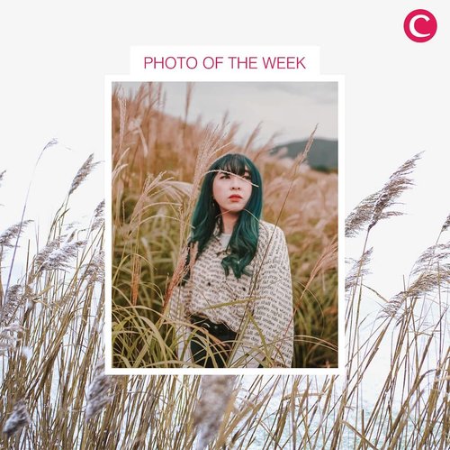 Clozette Photo of the Week

By @yunitaelisabeth
Follow her Instagram & ClozetteID Account. #ClozetteID #ClozetteIDPOTW