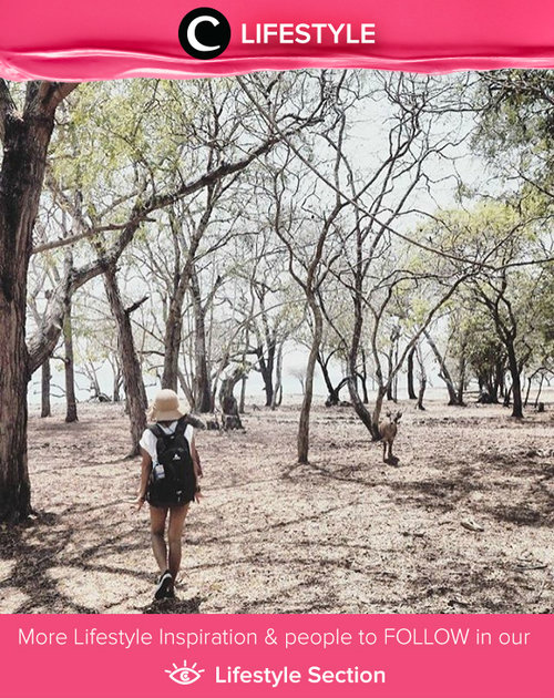 Have you ever visited Komodo Island? Komodo National Park is located in the center of the Indonesian archipelago, between the islands of Sumbawa and Flores. Simak Lifestyle Updates ala clozetters lainnya hari ini di Lifestyle Section. Image shared by Clozette Ambassador: @leonisecret. Yuk, share momen favorit kamu bersama Clozette.